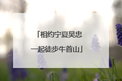 相约宁夏吴忠 一起徒步牛首山