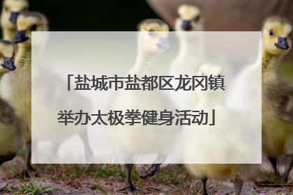 盐城市盐都区龙冈镇举办太极拳健身活动