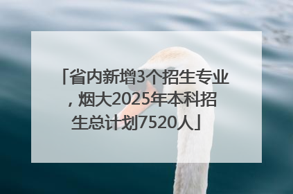 省内新增3个招生专业，烟大2025年本科招生总计划7520人