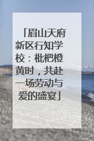 眉山天府新区行知学校：枇杷橙黄时，共赴一场劳动与爱的盛宴
