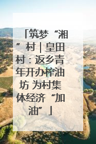 筑梦“湘”村｜皇田村：返乡青年开办榨油坊 为村集体经济“加油”