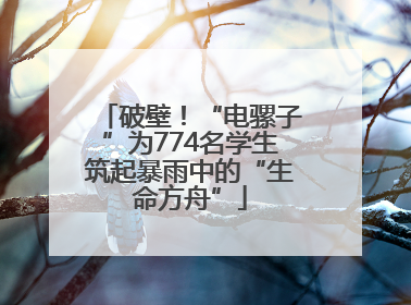 破壁！“电骡子”为774名学生筑起暴雨中的“生命方舟”