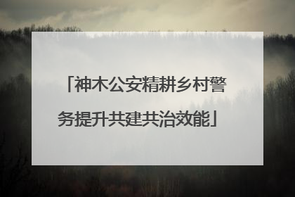 神木公安精耕乡村警务提升共建共治效能