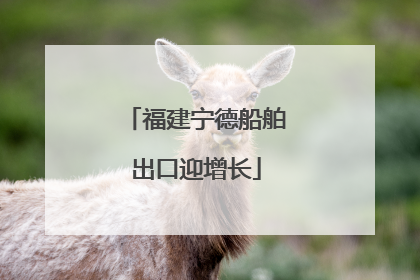 福建宁德船舶出口迎增长