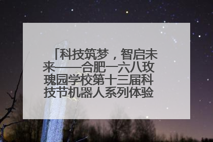 科技筑梦，智启未来——合肥一六八玫瑰园学校第十三届科技节机器人系列体验赛燃动校园