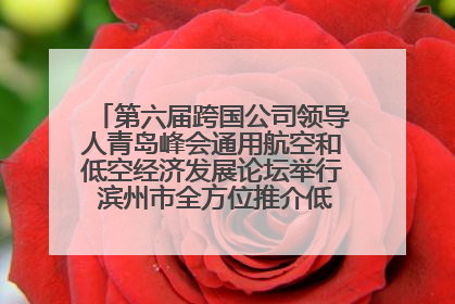 第六届跨国公司领导人青岛峰会通用航空和低空经济发展论坛举行 滨州市全方位推介低空经济发展优势