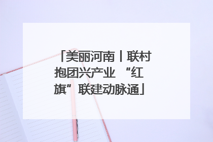美丽河南丨联村抱团兴产业 “红旗”联建动脉通