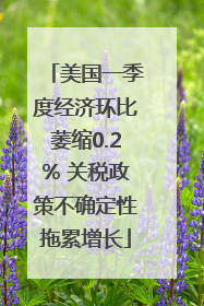 美国一季度经济环比萎缩0.2% 关税政策不确定性拖累增长
