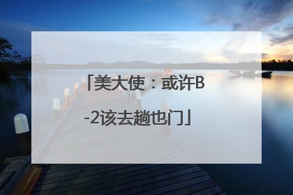 美大使：或许B-2该去趟也门