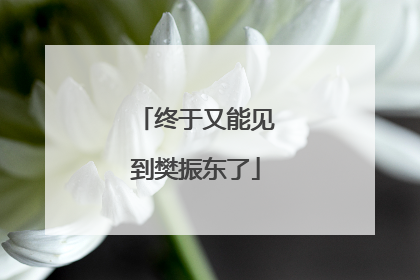 终于又能见到樊振东了