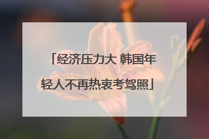 经济压力大 韩国年轻人不再热衷考驾照