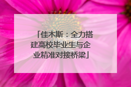 佳木斯：全力搭建高校毕业生与企业精准对接桥梁