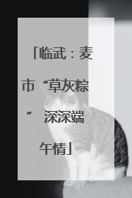 临武：麦市“草灰粽” 深深端午情