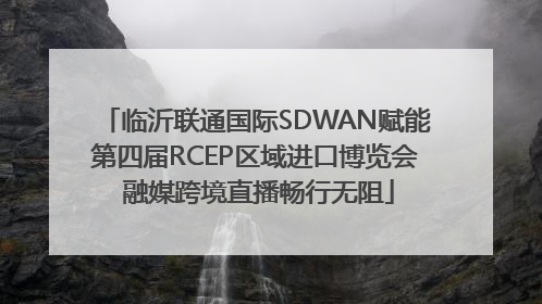 临沂联通国际SDWAN赋能第四届RCEP区域进口博览会 融媒跨境直播畅行无阻