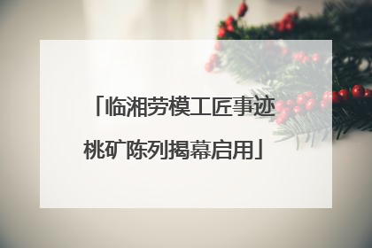 临湘劳模工匠事迹桃矿陈列揭幕启用