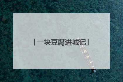 一块豆腐进城记