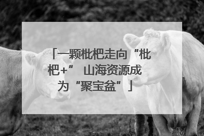 一颗枇杷走向“枇杷+” 山海资源成为“聚宝盆”