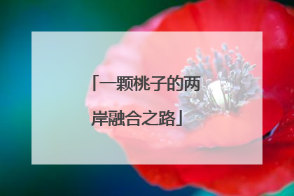 一颗桃子的两岸融合之路