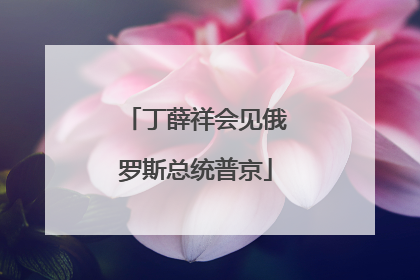 丁薛祥会见俄罗斯总统普京