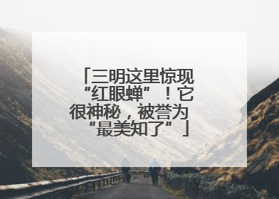 三明这里惊现“红眼蝉”！它很神秘，被誉为“最美知了”
