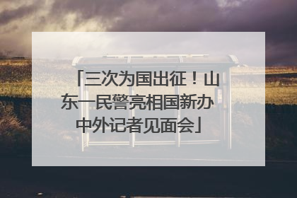 三次为国出征！山东一民警亮相国新办中外记者见面会