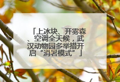 上冰块、开雾森、空调全天候，武汉动物园多举措开启“消暑模式”