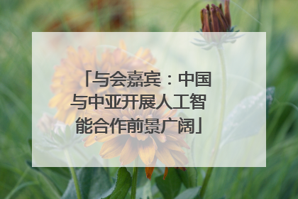 与会嘉宾：中国与中亚开展人工智能合作前景广阔