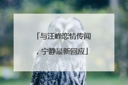 与汪峰恋情传闻，宁静最新回应