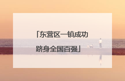 东营区一镇成功跻身全国百强