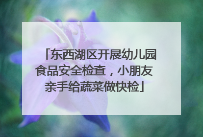 东西湖区开展幼儿园食品安全检查，小朋友亲手给蔬菜做快检
