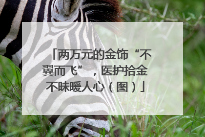 两万元的金饰“不翼而飞”，医护拾金不昧暖人心（图）