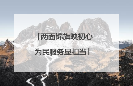 两面锦旗映初心 为民服务显担当