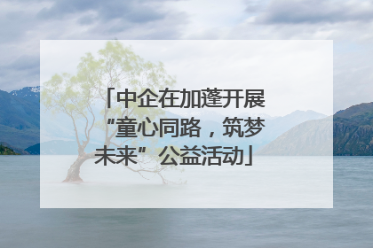 中企在加蓬开展“童心同路，筑梦未来”公益活动