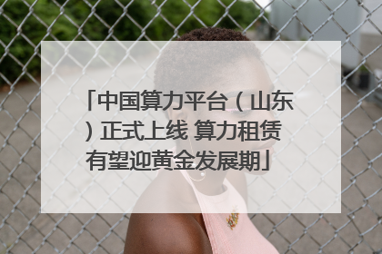 中国算力平台（山东）正式上线 算力租赁有望迎黄金发展期