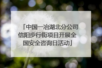 中国一冶湖北分公司信阳步行街项目开展全国安全咨询日活动