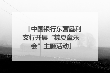 中国银行东营垦利支行开展“粽夏童乐会”主题活动