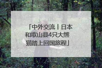 中外交流丨日本和歌山县4只大熊猫踏上回国旅程