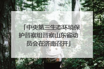 中央第三生态环境保护督察组督察山东省动员会在济南召开