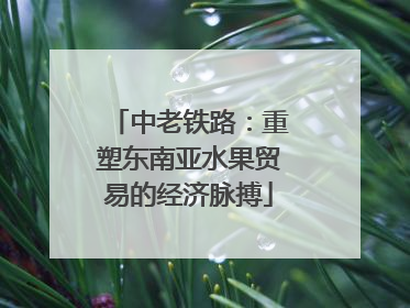 中老铁路：重塑东南亚水果贸易的经济脉搏