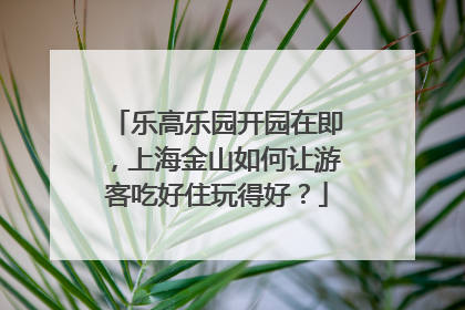 乐高乐园开园在即，上海金山如何让游客吃好住玩得好？