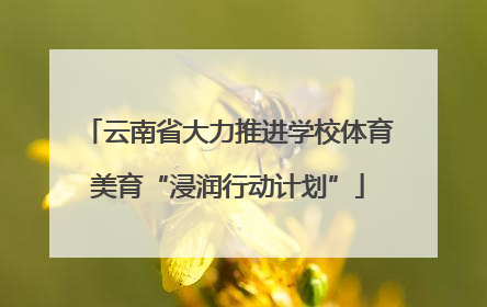 云南省大力推进学校体育美育“浸润行动计划”