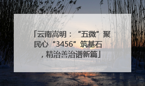 云南嵩明：“五微”聚民心“3456”筑基石，精治善治谱新篇