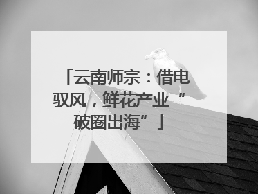 云南师宗：借电驭风，鲜花产业“破圈出海”