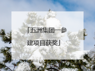五洲集团一参建项目获奖