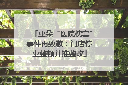 亚朵“医院枕套”事件再致歉：门店停业整顿并推整改