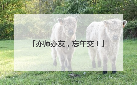 亦师亦友，忘年交！