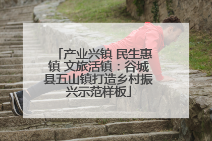 产业兴镇 民生惠镇 文旅活镇：谷城县五山镇打造乡村振兴示范样板