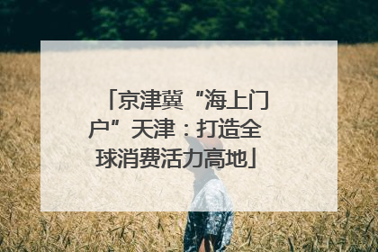 京津冀“海上门户”天津：打造全球消费活力高地