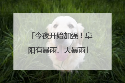 今夜开始加强！阜阳有暴雨、大暴雨