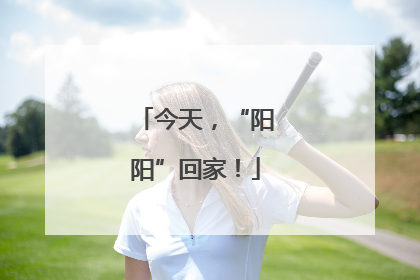 今天，“阳阳”回家！